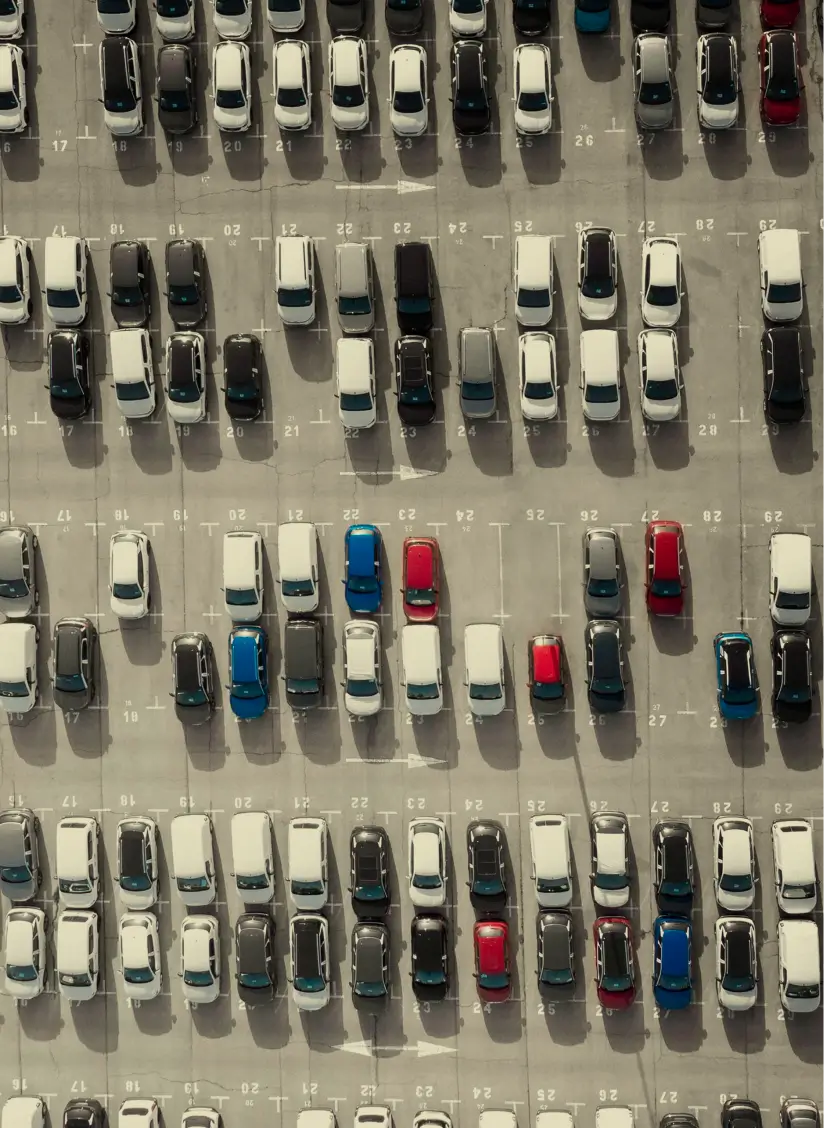 Trump & Electric Vehicles: Friends, Not Foes